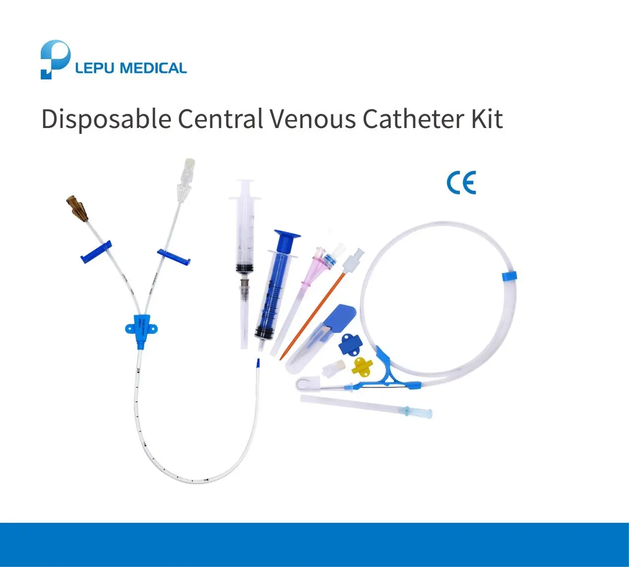 Celebrando um marco importante na Lepu Medical!