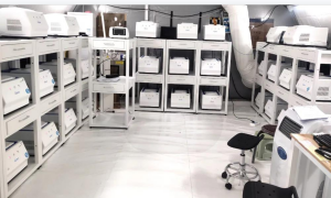 Juntos por um futuro compartilhado: a Lepu Medical contribui para os Jogos Olímpicos de Inverno de Pequim 2022