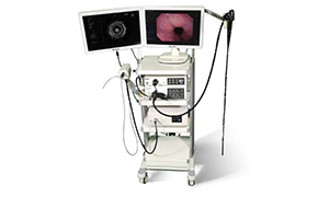 Análise do sistema host do endoscópio