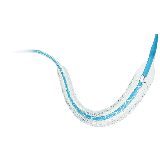 Parceiros®Sistema Stent Coronário Cirílico-Upping