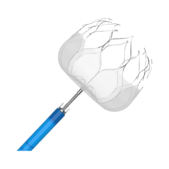 MemoLefort®Sistema oclusores do apêndice atrial esquerdo (LAA)