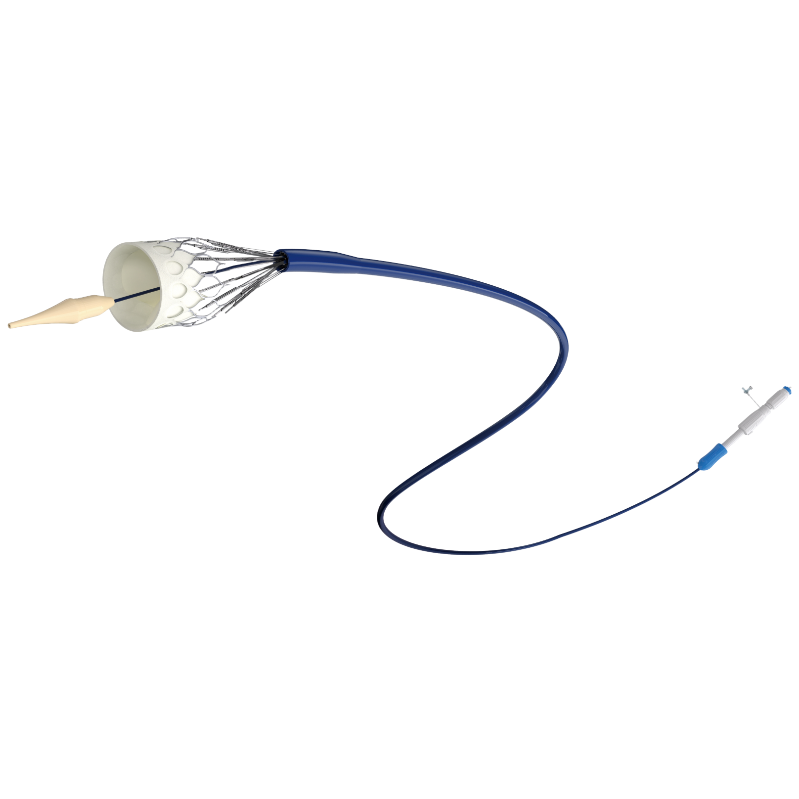 Sistema substituição válvula aórtica ScienCrown Transcatheter
