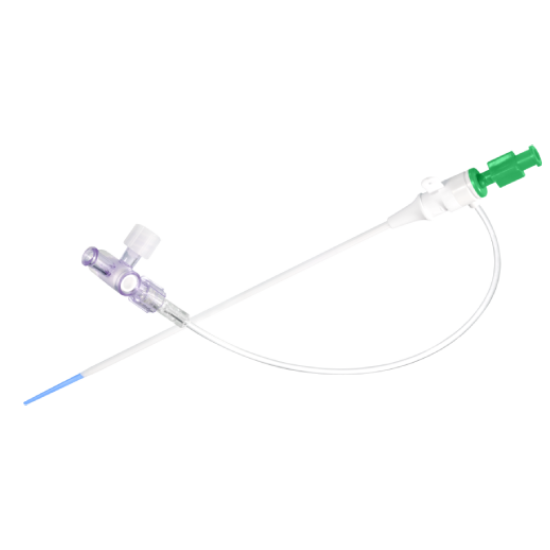 Bainhas do Introdutor