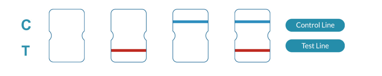 results.png results.png