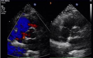 1742290505039.jpeg 1742290505039.jpeg