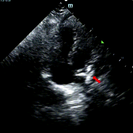 1752651180761.gif 1752651180761.gif