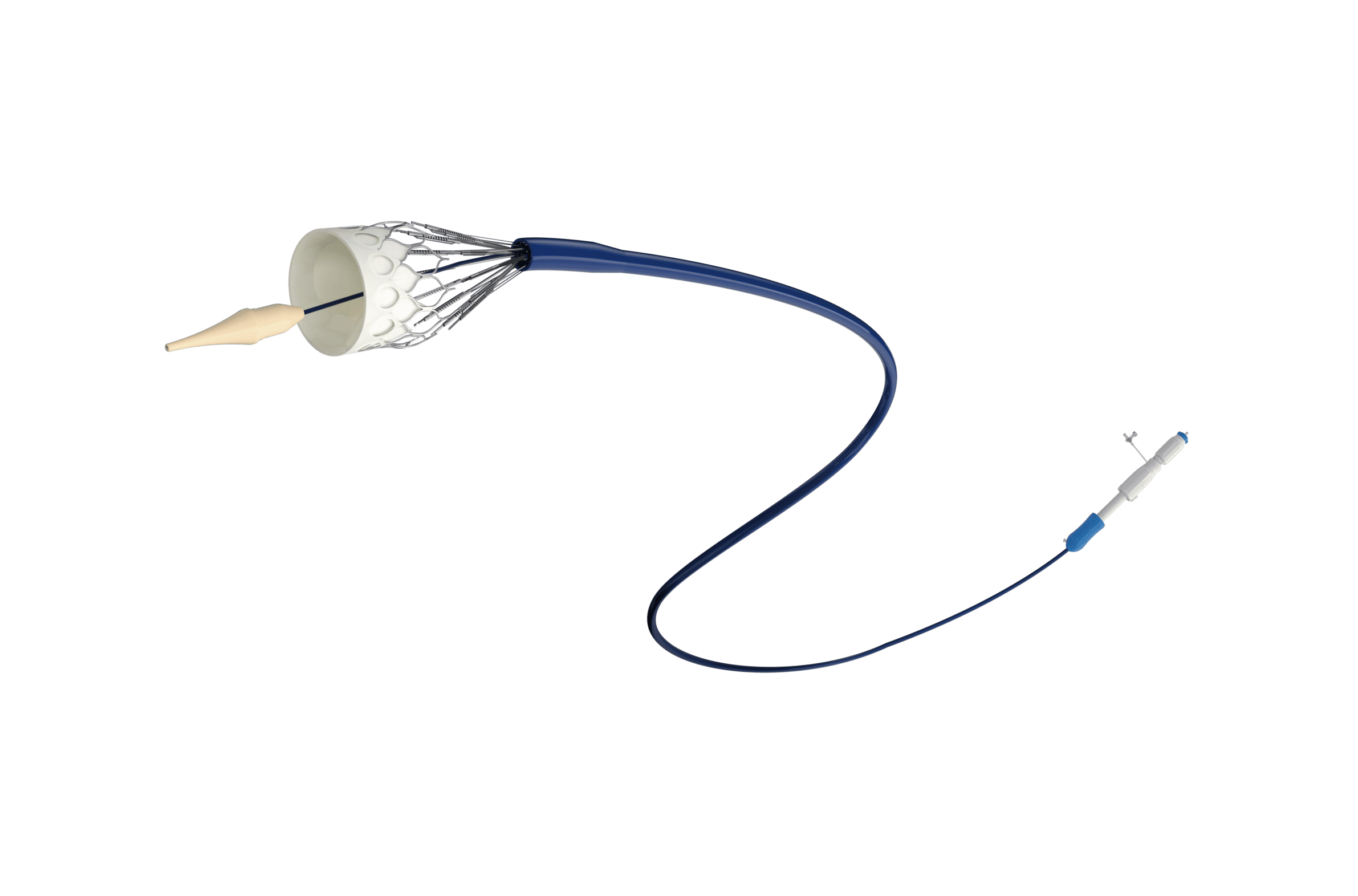 Caractersticas do produto