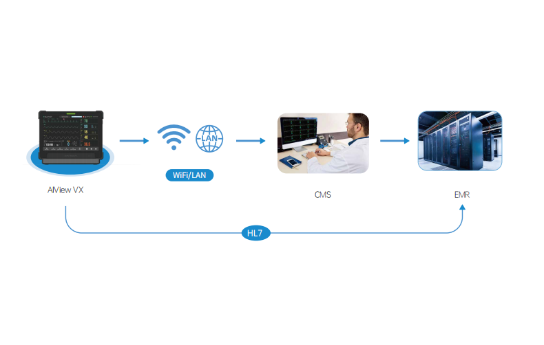 wordbox wordbox1 Solues TI excelentes e valiosas